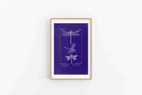 Blue Dragonfly Bookplate Blueprint - Digital Download